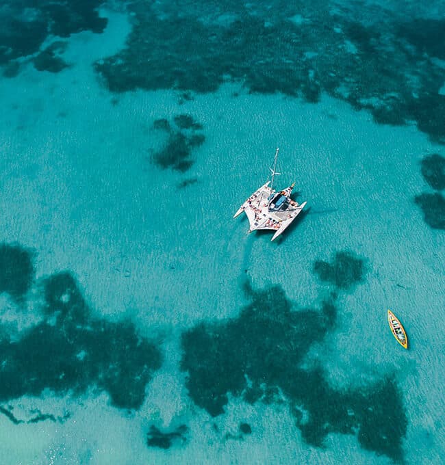 Greening, Sustainability, and the Blue Economy